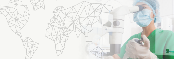 Key principles banner image